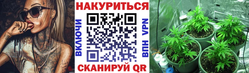 Бошки марихуана тримм  купить наркотики цена  гидра маркетплейс  Калтан 